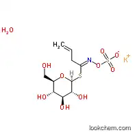 Molecular Structure of 64550-88-5 (Sinigrin monohydrate)